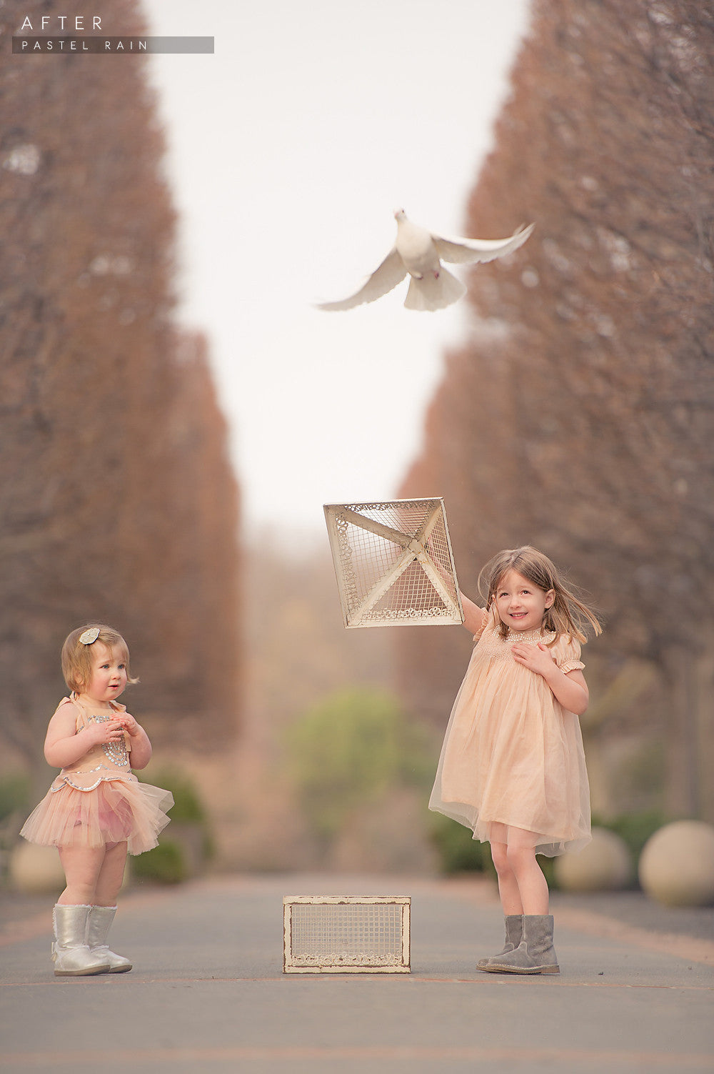 lightroom preset