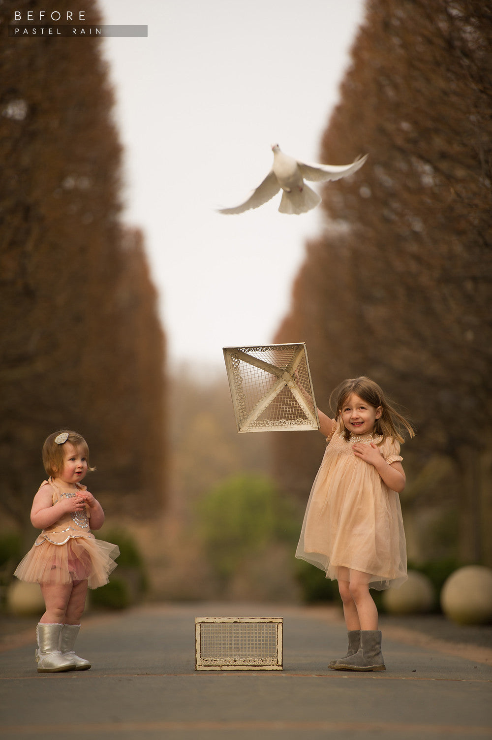 lightroom preset